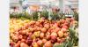 Ukrainian apple retail prices climb to €1.38/kg