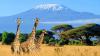 Tanzania’s tourism sector continues to exceed expectations