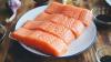 Revealed: How salmon politics trumped the environment