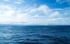 Why the global ocean treaty is a defining moment for the planet 