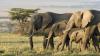 The Little-Known Story of Emerging Ecotourism in the Central African Republic