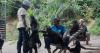 Inside the world’s only Bonobo rescue sanctuary in DRC