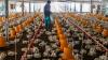 Gabon signs US$1.38 billion poultry investment deals ahead of 2027 import ban