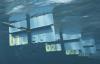 Wavepiston files permits for Gran Canaria wave energy pilot, signs MoU in Iceland