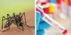 Where are tiger mosquitoes in France as presence increases, and what to do about them