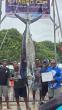 Team Rookie Lands 308.5-Lb Billfish to Win Palau Etpison Cup Derby
