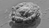 Volcano helped clean up after it erupted
