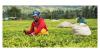 How aligning financial strategies with climate finance can drive resilient growth