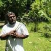 Sacred leaf offers hope for Vanuatu's threatened forests