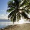 Pacific Islands Push IMO to Tighten CII Amid Net-Zero Framework Delay