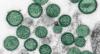 Hantavirus outbreak: Another passenger contracts disease