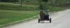 Mennonites from Belize spark deforestation fears with new settlement plans in Suriname