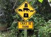 Costa Rica Approves Wildlife Crossings Law to Protect Animals
