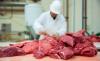 Irish beef imports: Volumes and origins over past 10 years