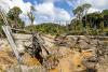 China and the Amazon’s Illegal Gold: The Plot Behind Clandestine Mining