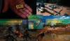 Brazil Tracks Evolving Routes for Illegal Amazon Gold