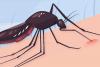 Malaria Vector Mosquitoes in Colombia and Other Countries are Becoming More Resistant