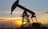 Falklands Oil: Sovereignty Cannot Excuse Environmental Recklessness -By Fransiscus Nanga Roka