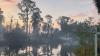 Hernando Beach brushfire 90% contained, Dunedin secures funding for pier rebuild and NASA to launch Artemis II crew this week