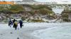 Scientists Assess Biodiversity of Sandy Beaches Around Falkland Islands