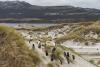 Edges of Earth: Among the Kings of the Falklands