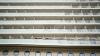 Three people die on cruise ship in the Atlantic from suspected hantavirus infection