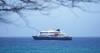 PolitiFact FL: What is hantavirus? What we know about the fatal cruise ship outbreak