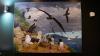 Falkland Islands Mural Unveiled At Malvina House Hotel