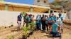 La Quinta Beach Resort Introduces Aruba’s First Syntropic Agroforestry Garden