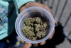 U.S. eases access to marijuana for medical use