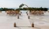 JOIA Aruba Wedding Experience Elevates Luxury Destination Weddings on Eagle Beach