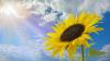 Weather forecast for Tuesday, June 9, 2026