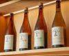 Radisson Blu Aruba Launches Blu Tap Cider Bar and Wellness Experiences