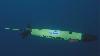 The ‘Waymo of the sea’ tracks sperm whale conversations
