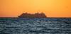 CARPHA says Hantavirus threat to Caribbean remains low amid cruise ship cases