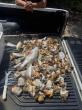 Poachers netted after joint enforcement action