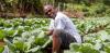 COMMENTARY: Kubuli Farms – Cultivating innovation, inclusion and opportunity in Dominica