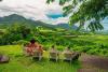 Wish You Were Here: Navigating the peaks, paths and private sanctuaries of St. Kitts