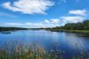 Beyond Kruger: Safari by the Sea in St Lucia, Where Hippos Roam
