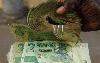 ‘Zimdollar yet to bottom out’