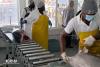 Caribbean Fisheries Forum hosts 24th regular session ahead of ministerial meeting