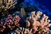 Caribbean Islands Reveal Deep Secrets as Protection Plans Catch Up