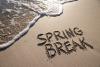 FAMU students take spring break near and far 