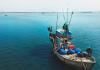 TCI – Towards a More Vibrant Fishing Industry!