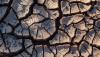 “If You See Me, Weep.” And Other Souvenirs of Climate Catastrophe