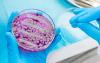 Shionogi secures $482m BARDA contract to tackle AMR crisis