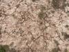 Last half-year was uncharacteristically dry for Latvia