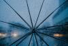 Weather & Traffic: Friday 12 June: A rainy day