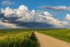 Weather & Traffic: Friday 19 June: Up to 36°C and potential thunderstorms