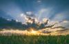 Weather & Traffic: Saturday 20 June: Sun with a side of extreme heat